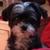 Profile pic of the author.