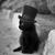 Profile pic of the author.
