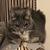 Profile pic of the author.