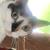 Profile pic of the author.