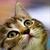 Profile pic of the author.