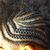 Profile pic of the author.