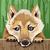 Profile pic of the author.