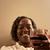 Profile pic of the author.