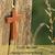 Profile pic of the author.