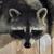Profile pic of the author.