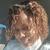 Profile pic of the author.