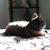 Profile pic of the author.