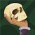 Profile pic of the author.
