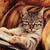 Profile pic of the author.