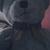 Profile pic of the author.