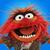 Profile pic of the author.