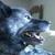 Profile pic of the author.
