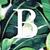 Profile pic of the author.