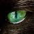Profile pic of the author.