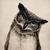 Profile pic of the author.