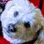 Profile pic of the author.