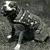 Profile pic of the author.