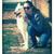 Profile pic of the author.