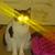Profile pic of the author.