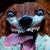 Profile pic of the author.