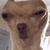 Profile pic of the author.