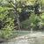 Profile pic of the author.
