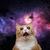 Profile pic of the author.