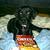 Profile pic of the author.