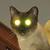 Profile pic of the author.