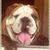 Profile pic of the author.