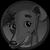 Profile pic of the author.