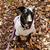 Profile pic of the author.