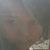 Profile pic of the author.