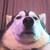 Profile pic of the author.